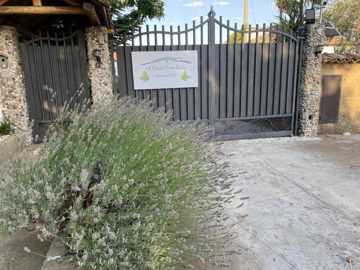 A Casa Di Nonna Emilia Bed and Breakfast Campagna Exteriör bild